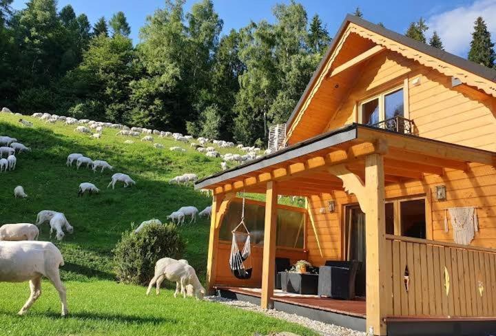 Domek Pod Groniem Mizerna Exterior photo